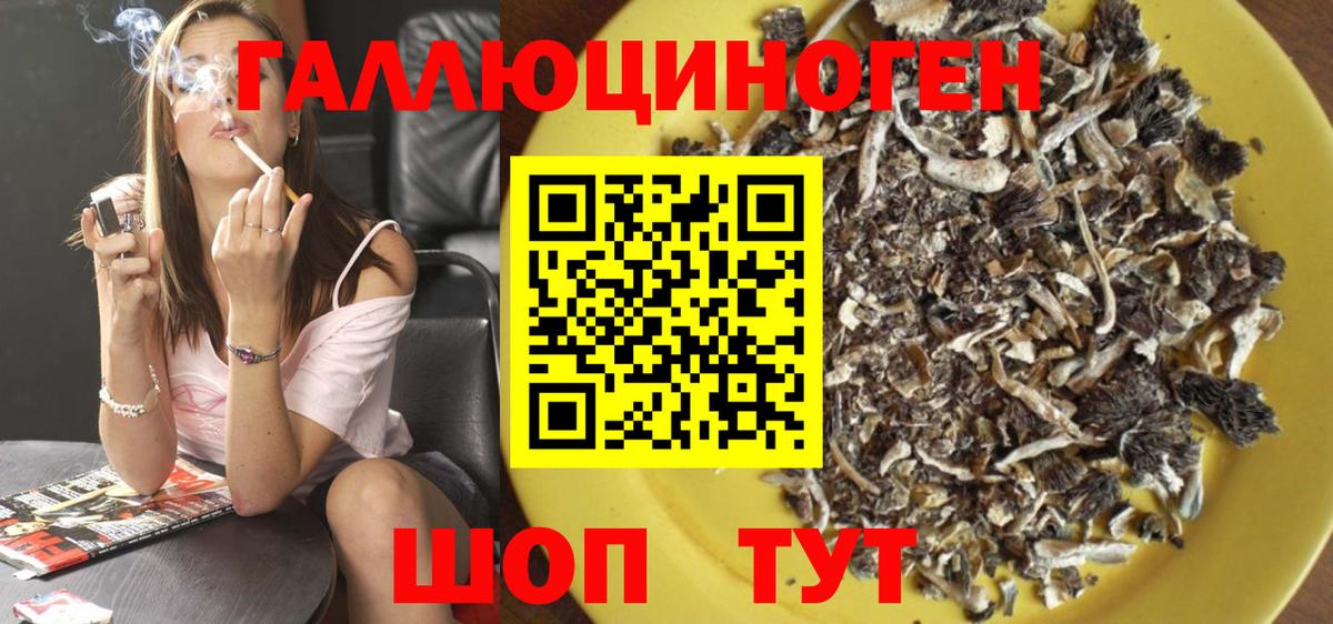 Галлюциногенные грибы GOLDEN TEACHER Биробиджан